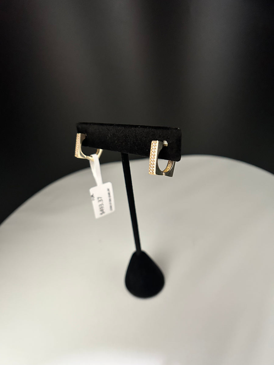 Earrings 10K Gold