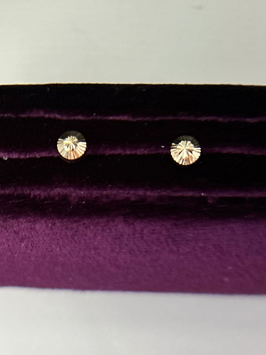 Earrings 10K Gold